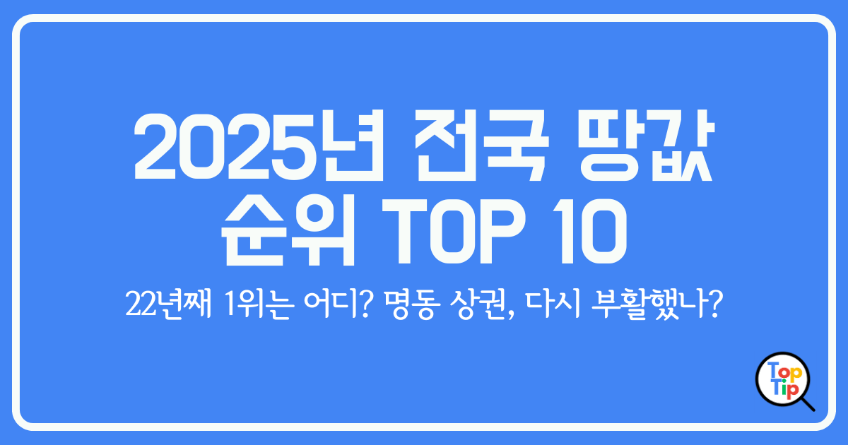 2025년 전국 땅값 순위 TOP 10_명동 상권, 부활했나