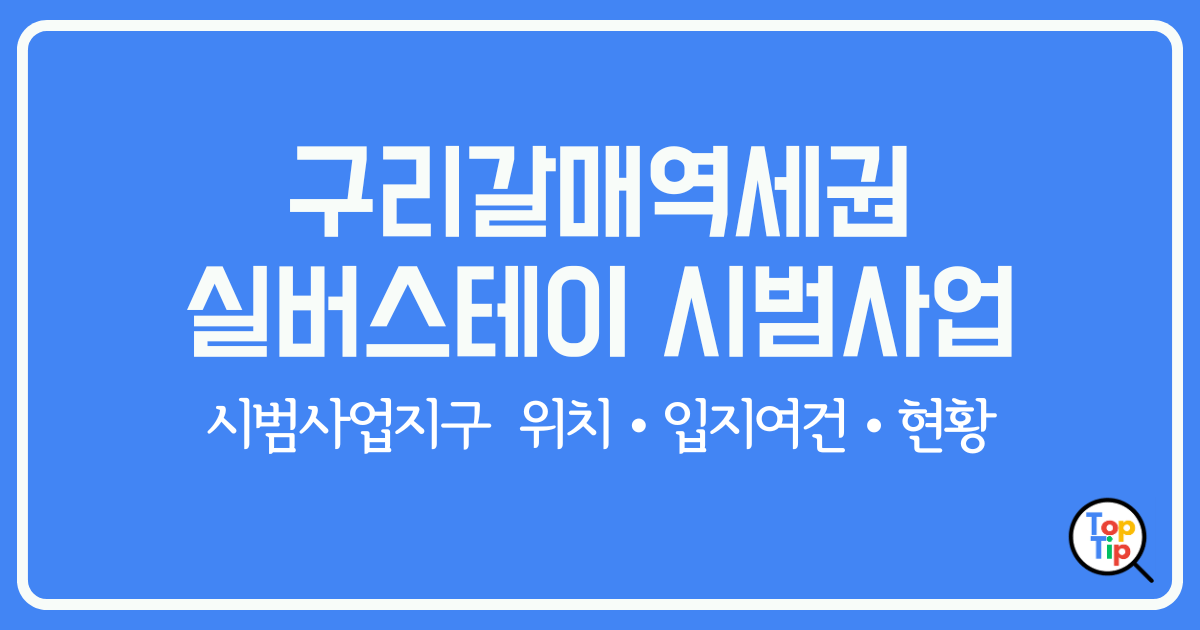 구리갈매역세권 실버스테이 시범사업지구 위치와 입지여건 및 현황 알아보기